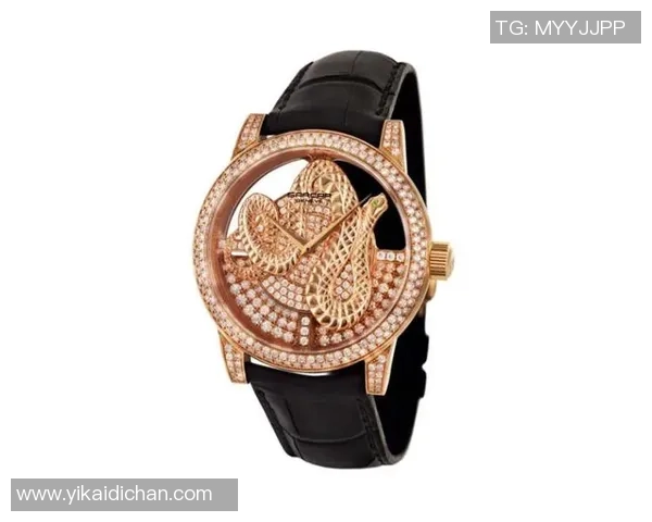 足球明星腕表代言的魅力与影响力探讨及其市场价值分析